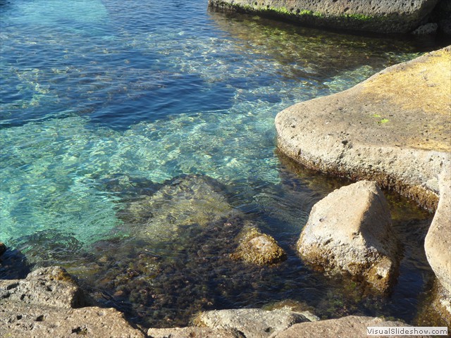 Isola dei topi