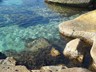 Isola dei topi